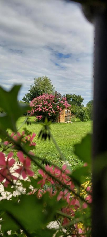 Corte Ventaglio Campitello  Kültér fotó